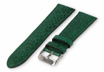 Uhrenarmband 22mm Grün echtes Schlangenleder